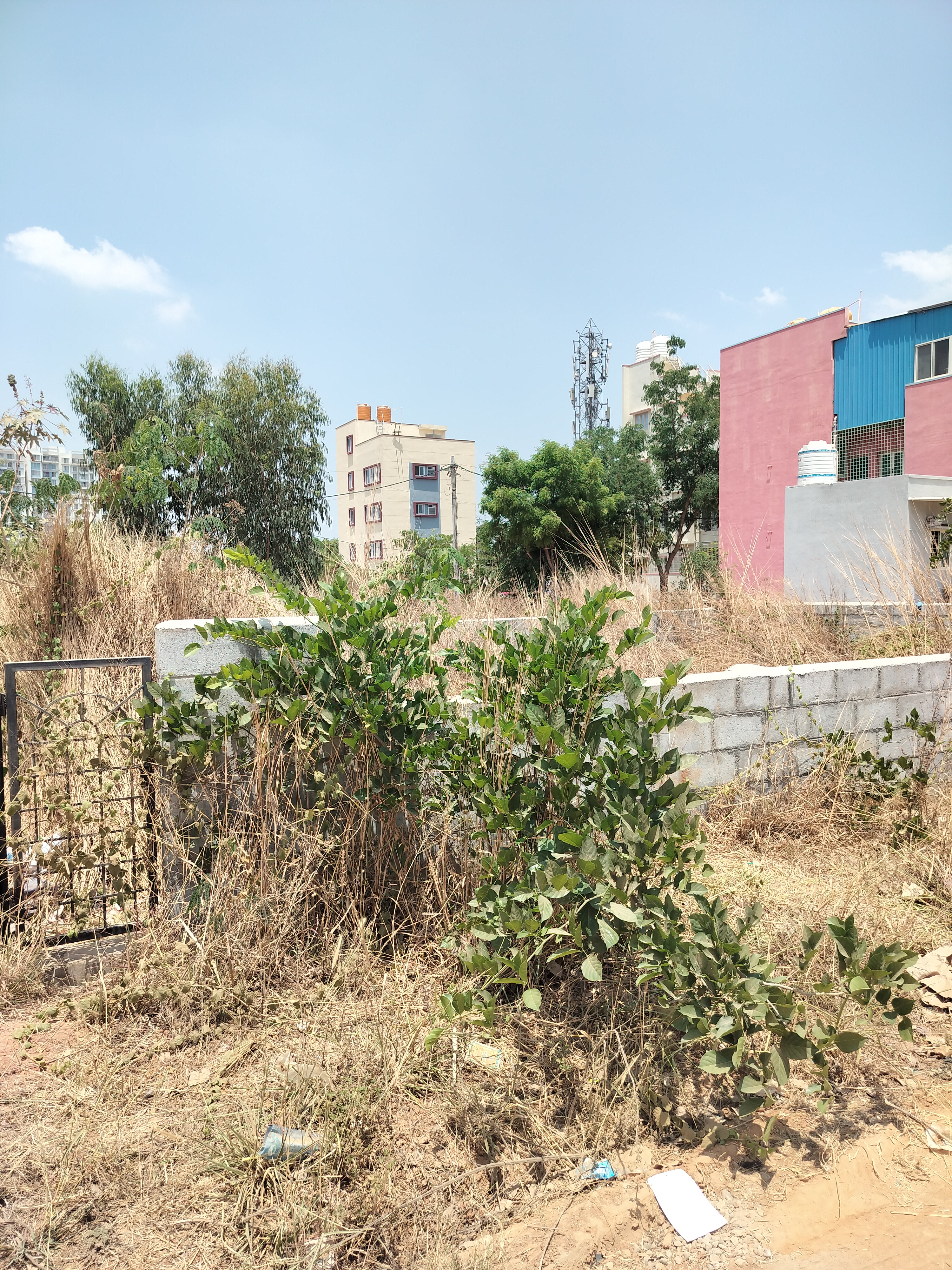 Plot For Resale in Hosa Road Bangalore  6724974