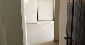 3 BHK Apartment For Rent in RPS Savana Sector 88 Faridabad 6725068