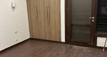 3 BHK Apartment For Rent in Ardee City Palm Grove Heights Sector 52 Gurgaon 6725261