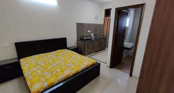 1 RK Builder Floor For Rent in Sector 46 Gurgaon 6725336