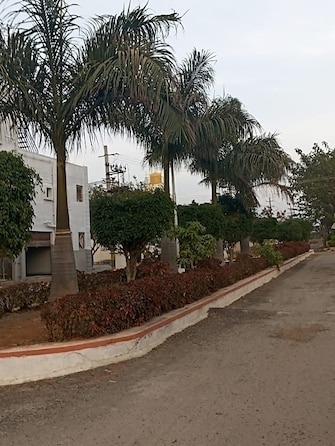 Plot For Resale in Sai Prasanthi Homes Jigani Bangalore  6725458