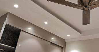 3 BHK Builder Floor For Rent in Krishna Nagar Delhi 6725654