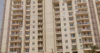4 BHK Apartment For Rent in Indiabulls Enigma Sector 110 Gurgaon 6725751
