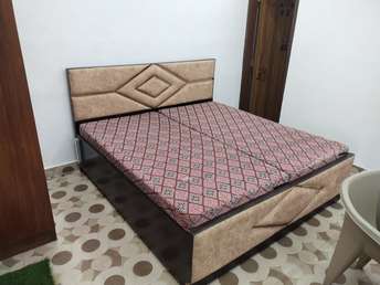 Studio Builder Floor For Rent in RWA Greater Kailash 1 Greater Kailash I Delhi 6725929