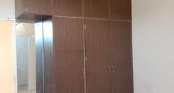 3 BHK Builder Floor For Rent in Phase 7 Mohali 6726007