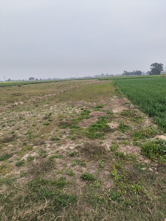 Commercial Land 1000 Sq.Yd. For Resale in Mullanpur Chandigarh  6726482