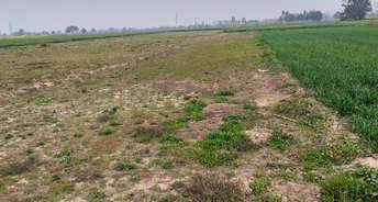 Commercial Land 1000 Sq.Yd. For Resale In Mullanpur Chandigarh 6726482
