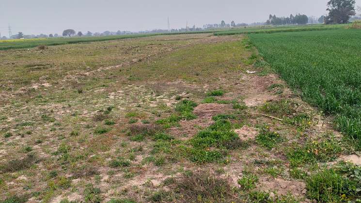 Commercial Land 1000 Sq.Yd. in Mullanpur Chandigarh