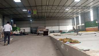 Commercial Warehouse 10000 Sq.Yd. For Rent in Sector 17a Gurgaon  6726684