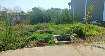  Plot For Resale in Mandideep Bhopal 6726708