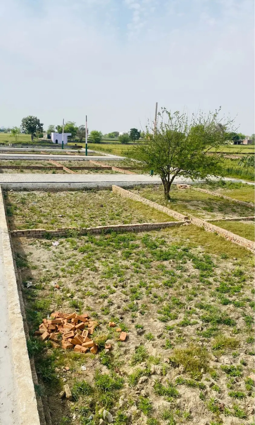 Plot For Resale in Om Kunj Dadri Greater Noida  6726993