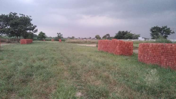 Commercial Land 10000 Sq.Yd. in Dadri Greater Noida