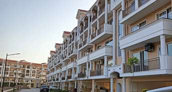 3.5 BHK Apartment For Rent in Panchkula Urban Estate Panchkula 6727131