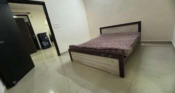 1 BHK Builder Floor For Rent in Kst Chattarpur Villas Chattarpur Delhi 6727674