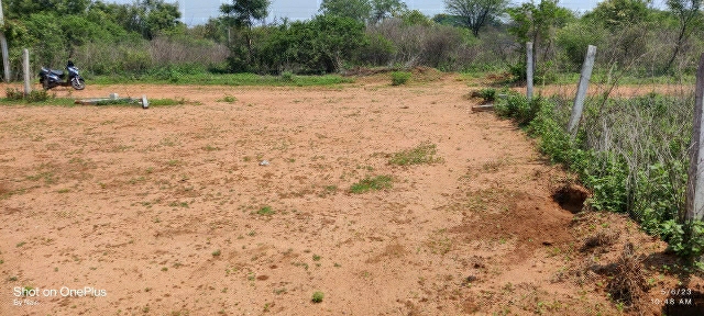 Plot For Resale in Kundanpally Hyderabad  6727439