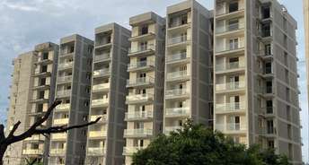 2 BHK Apartment For Resale in Proview Shalimar City Phase II Shalimar Garden Ghaziabad 6727662