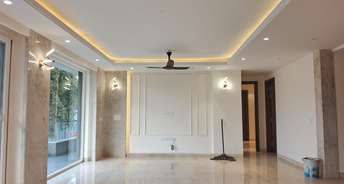 4 BHK Builder Floor For Resale in C Block RWA Kailash Colony Greater Kailash I Delhi 6727820
