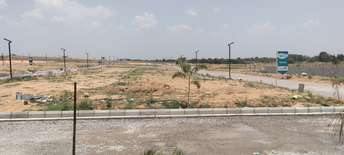  Plot For Resale in Sangareddy Hyderabad 6727824