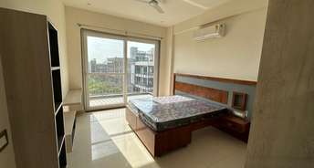 2 BHK Builder Floor For Rent in Hong Kong Bazaar Sector 57 Gurgaon 6727949