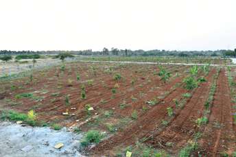 Commercial Land 5445 Sq.Ft. For Resale In Jakkuru Bangalore 6728083