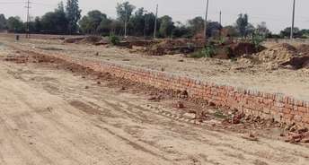  Plot For Resale in Sector 17 Greater Noida 6728122