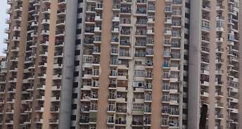 1 BHK Apartment For Resale in RG Residency Sector 120 Noida 6728251