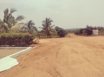 Plot For Resale in Shadnagar Hyderabad  6728730