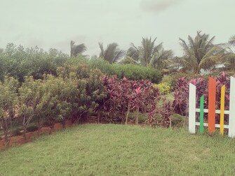 Plot For Resale in Shadnagar Hyderabad  6728730