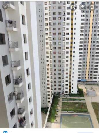 1 BHK Apartment For Resale in Paranjape Blue Ridge Hinjewadi Pune 6728910