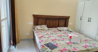 2 BHK Apartment For Rent in Ambala Highway Zirakpur 6728948