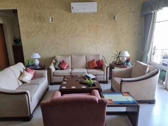3 BHK Apartment For Rent in DLF Regency Park II Sector 27 Gurgaon 6729152