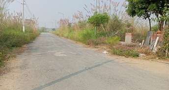  Plot For Resale in Sector 26 Rohtak 6729157