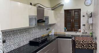 3 BHK Builder Floor For Rent in Sector 37 Faridabad 6729282