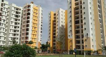 2.5 BHK Apartment For Rent in Olympia Grande Pallavaram Chennai 6729340