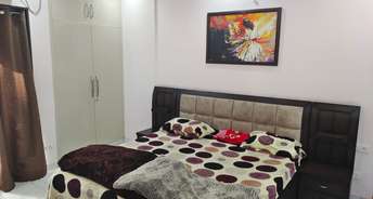 3 BHK Apartment For Rent in Purvanchal Royal City Gn Sector Chi V Greater Noida 6729464