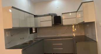 2 BHK Builder Floor For Rent in Phase 3 Mohali 6729551