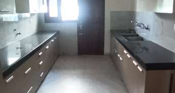3 BHK Builder Floor For Rent in Phase 2 Mohali 6729567