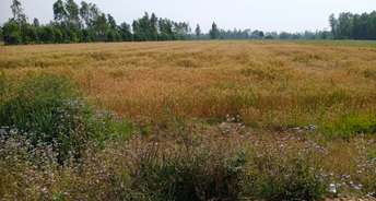 Commercial Land 3 Acre For Resale In Nawabganj Unnao 6729610