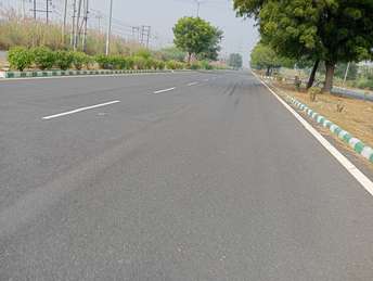  Plot For Resale in Sector 26 Rohtak 6729755