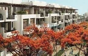 2.5 BHK Apartment For Rent in Vatika Xpressions Sector 88b Gurgaon 6729900