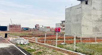  Plot For Resale in Sevai Lucknow 6729936