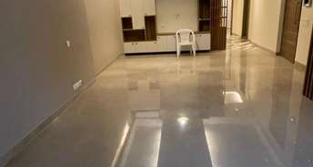 4 BHK Builder Floor For Rent in RWA Greater Kailash 1 Greater Kailash I Delhi 6731289