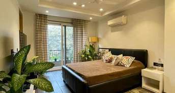 2 BHK Builder Floor For Rent in Freedom Fighters Enclave Saket Delhi 6731326
