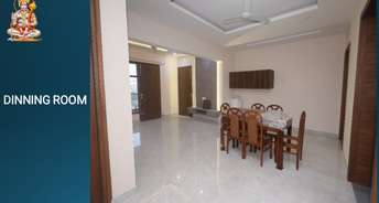 3 BHK Independent House For Rent in Aerocity Mohali 6731677