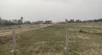  Plot For Resale in Amrapali Leisure Valley Greater Noida 6731701