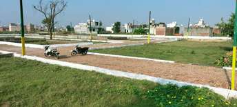  Plot For Resale in Sector 20 Greater Noida 6731812