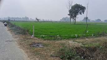  Plot For Resale in Chandpur Bichpuri Bareilly 6731385