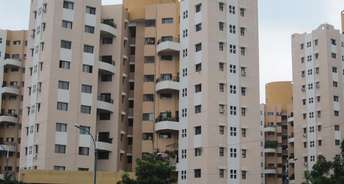2 BHK Apartment For Rent in Magarpatta Jasminium Hadapsar Pune 6732424