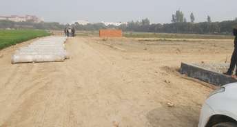  Plot For Resale in Gn Sector Alpha 1 Greater Noida 6732614