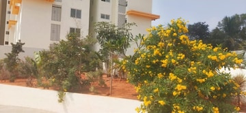 2 BHK Apartment For Resale in Mahaveer Celesse Yelahanka Bangalore  6732935